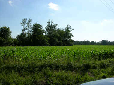 DSCN0134.JPG (1605769 bytes)