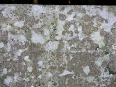 DSCN0218.JPG (1813920 bytes)