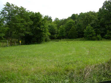 DSCN0253.JPG (1813112 bytes)